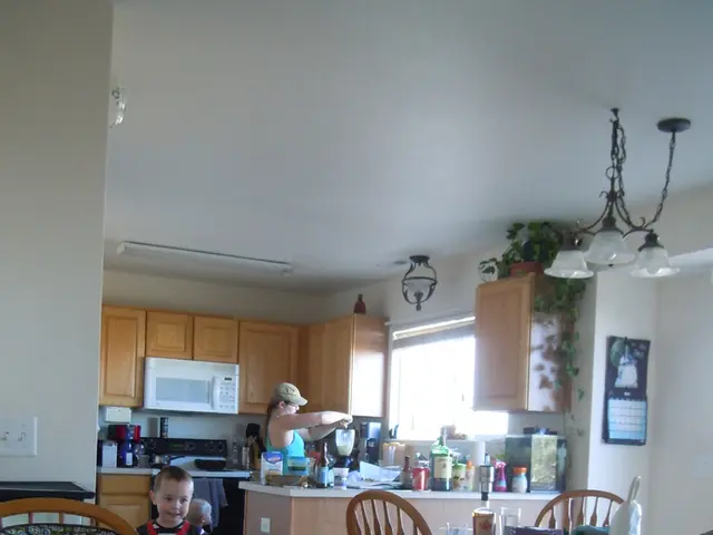 In this image it seems like room in which their is a woman who is working in the kitchen and a...