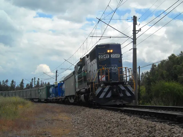 On the left there are shrubs, current pole and trees. In the center of the picture there are...