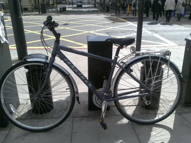 In front of the image there is a bicycle, behind the bicycle there are metal rods and poles, in...